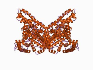 白蛋白和蛋白质的关系 - 人血白蛋白结构图